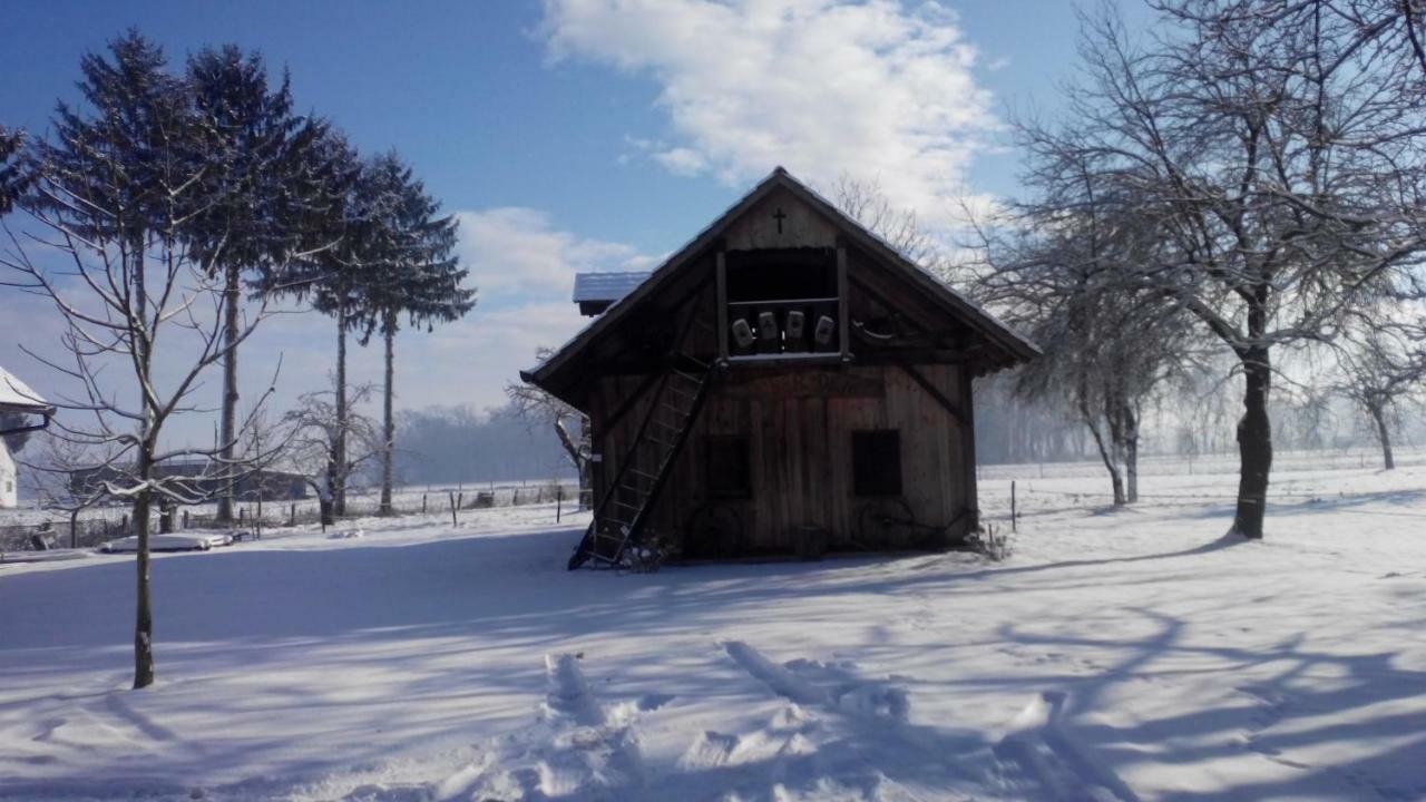 Ranc Jures Apartment Ljutomer Exterior photo
